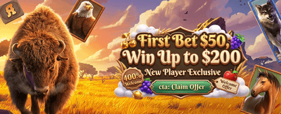 Slot Spin Bonanza